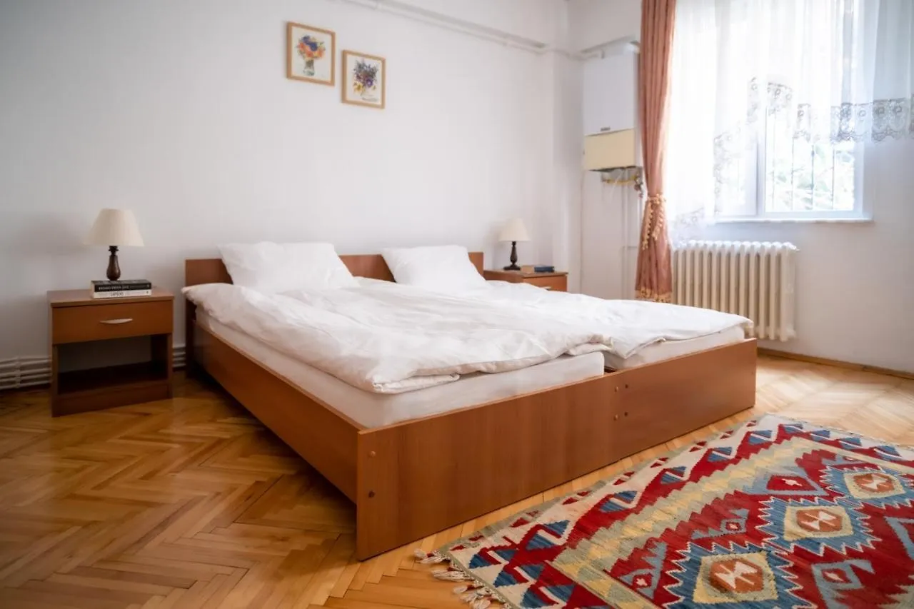 Spacious Flat With Central Location In Beyoglu Istanbul 0*,